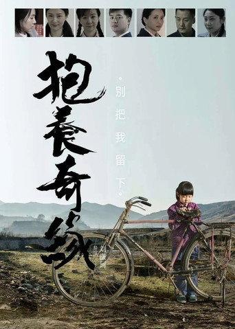 抱养奇缘 (2015) poster