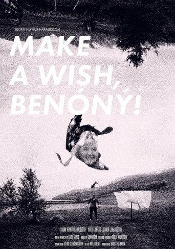 Make a wish, BENÓNÝ! () poster