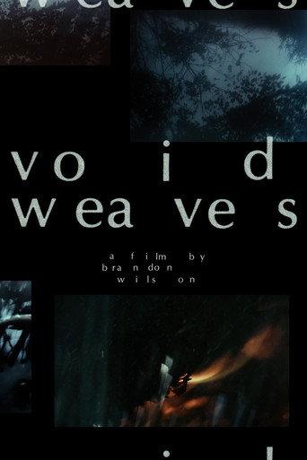Void Weaves (2020) poster
