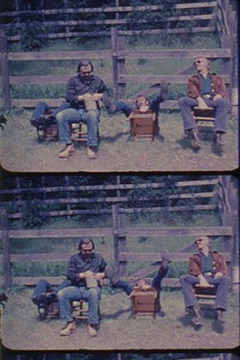 Deep Westurn (1974) poster