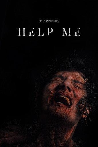 Help Me () poster