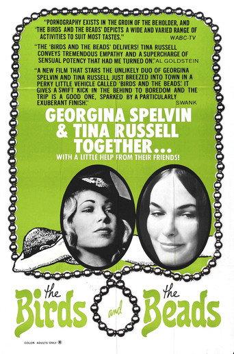 The Birds and the Beads (1973) poster