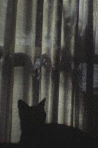 CAT ＆ CURTAIN (1995) poster