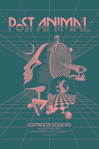 Post Animal - Levitation Sessions (2021) poster