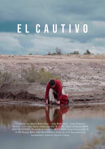 The Captive () poster