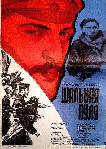 Stray Bullet (1980) poster