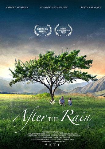 After the Rain (2019) poster