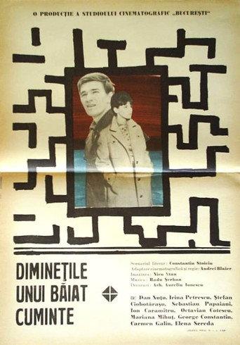 The Mornings of a Sensible Youth (1967) poster