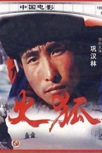 Sparkling Fox (1993) poster