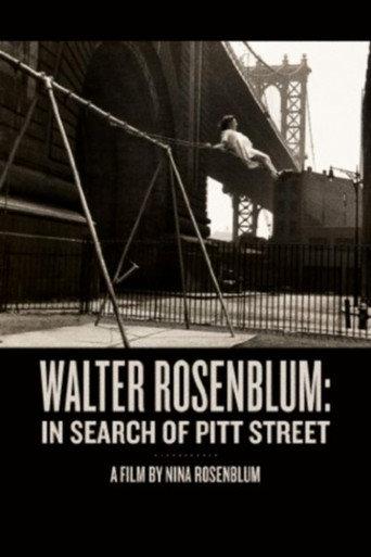 Walter Rosenblum: In Search of Pitt Street (1999) poster