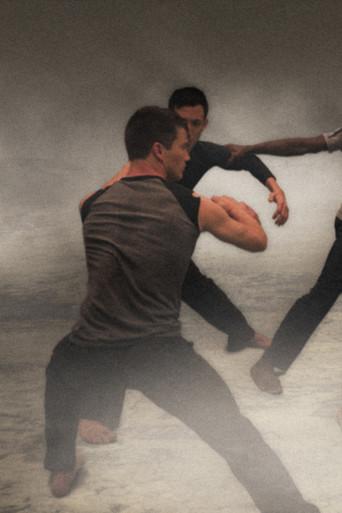 Lost Action: Trace (2011) poster