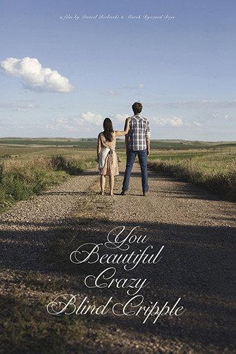 You Beautiful Crazy Blind Cripple (2016) poster