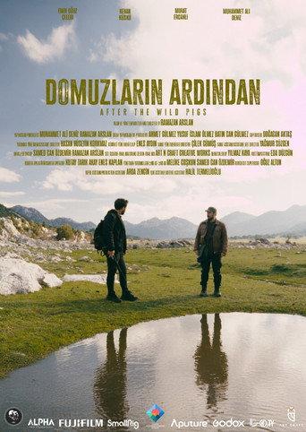 Domuzların Ardından () poster