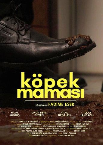 Köpek Maması (2025) poster