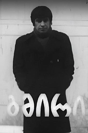 Hero (1979) poster