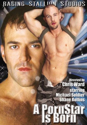 A Porn Star Is Born (2003) poster