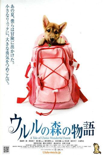 A Tale of Ululu's Wonderful Forest (2009) poster