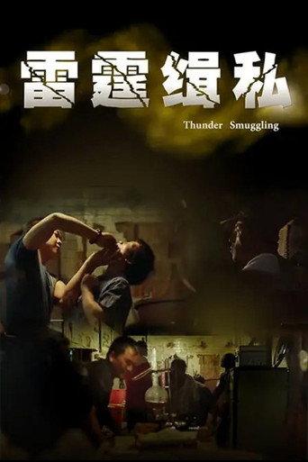 雷霆缉私 () poster