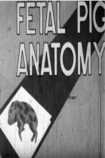 Fetal Pig Anatomy (1962) poster