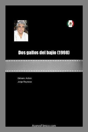 Dos gallos del bajio (1998) poster