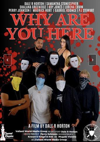 Why Are You Here (2024) poster