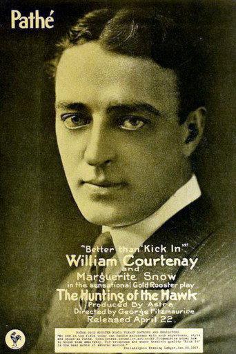 The Hunting of the Hawk (1917) poster
