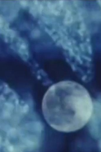 From the Ionosphere (2003) poster