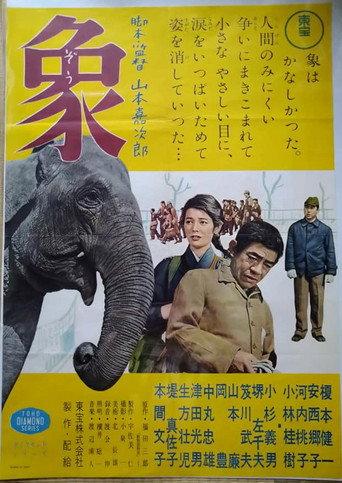 Elephant from "Zoo Story" (1957) poster