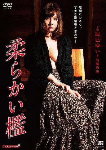 Gishin rankô: Yamiyo ni ugomeku mesu shiri (2017) poster