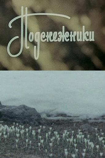 Snowdrops (1974) poster