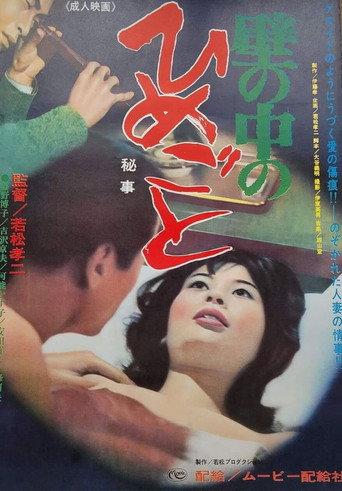 Secrets Behind the Wall (1965) poster
