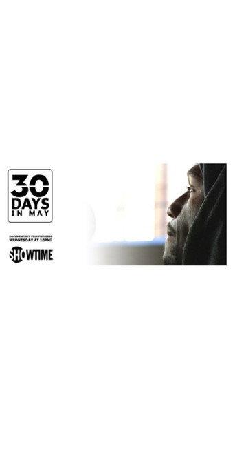 30 Days in May (2013) poster