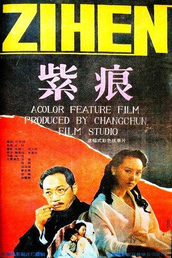 Zi Hen (1991) poster
