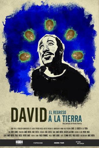 David. The Return to Land (2017) poster