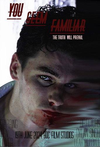 You Seem Familiar (2024) poster
