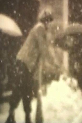 Winter 1994 (1994) poster
