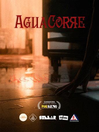 AGUA CORRE () poster
