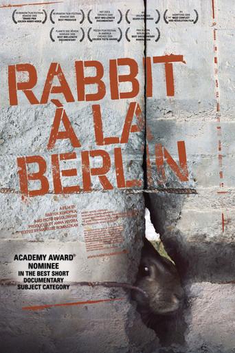 Rabbit à la Berlin (2009) poster