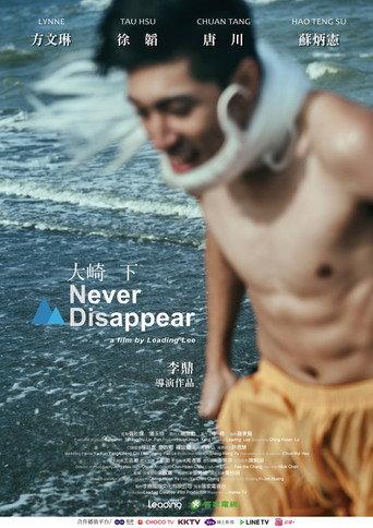 Never Disappear (2018) poster