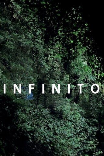 Infinito (2011) poster