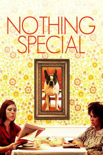 Nothing Special (2010) poster