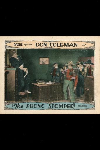 The Bronc Stomper (1928) poster