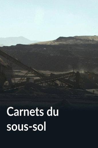 Carnets du sous-sol (2013) poster