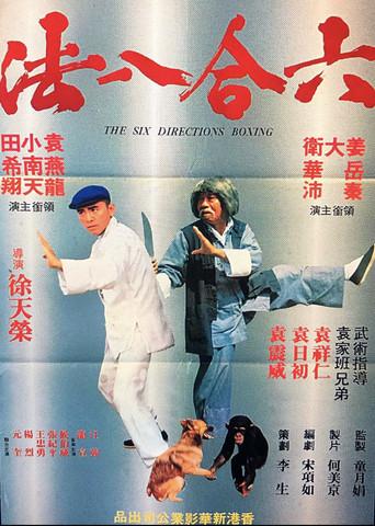 The Six Directions of Boxing (1980) poster