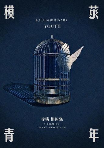 Extraordinary Youth () poster