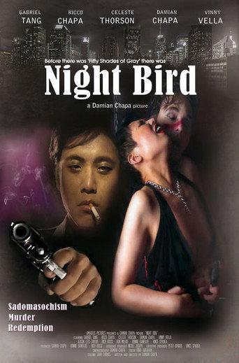 Night Bird () poster
