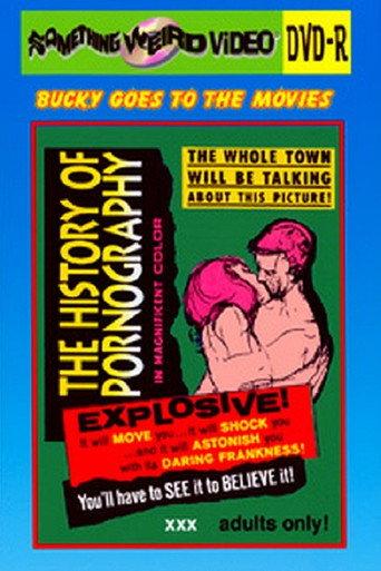 The History of Pornography (1970) poster