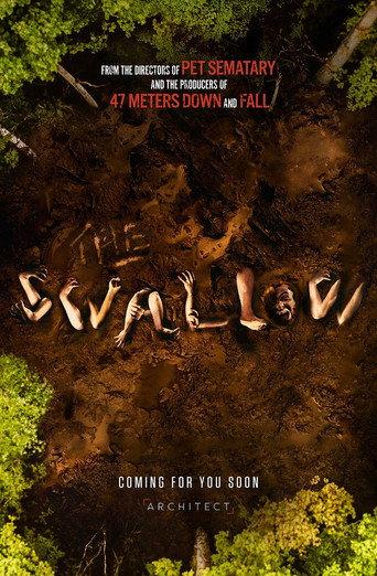 The Swallow () poster