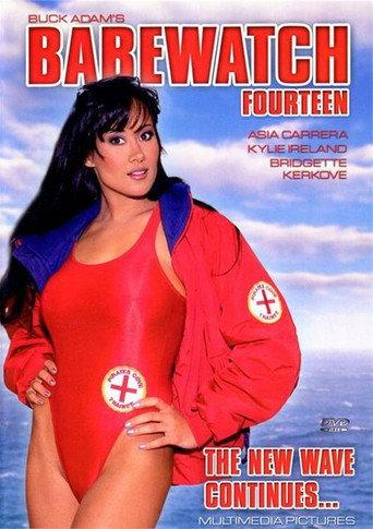 Babewatch 14 (2001) poster
