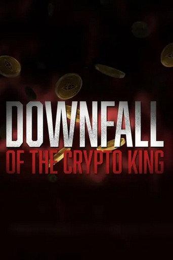 Downfall of the Crypto King (2024) poster